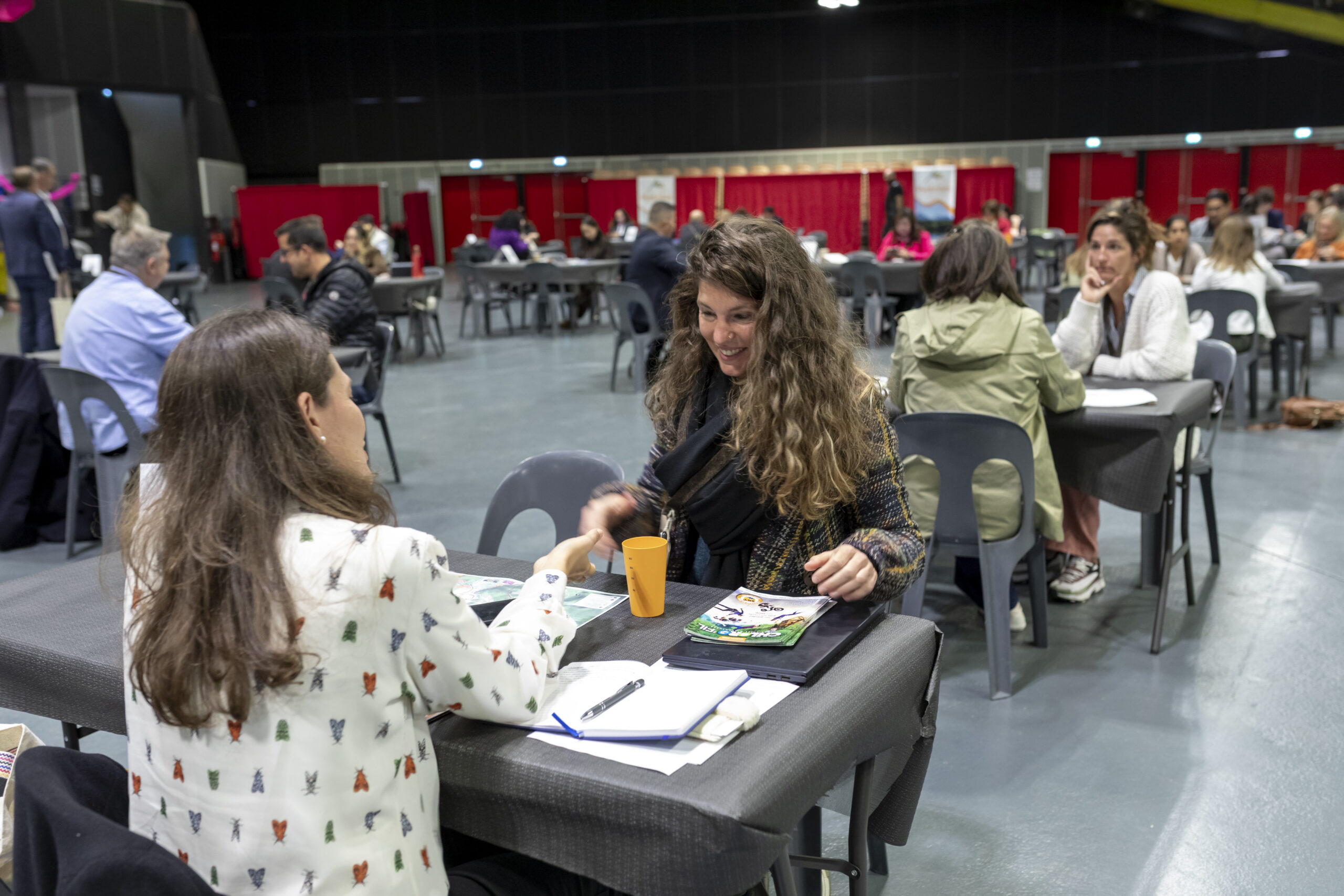 ⒸOT Lourdes - P. Vincent