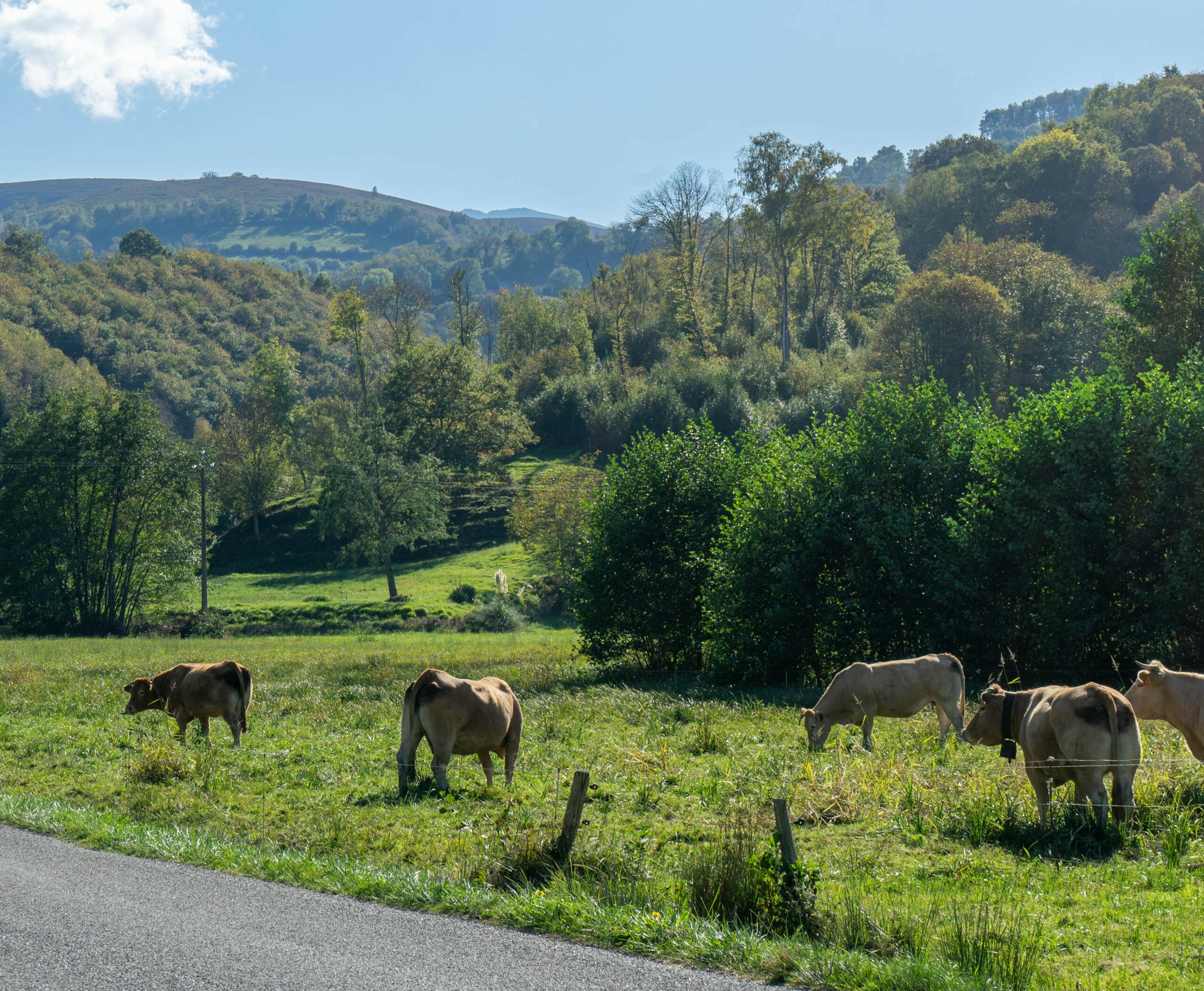 ©OT Lourdes-E.Dussarps